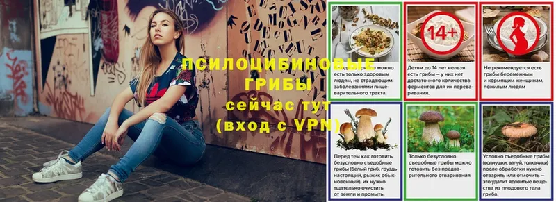 Псилоцибиновые грибы MAGIC MUSHROOMS  hydra вход  Дегтярск 